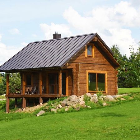 Vip Forest Dreams Villa Anykščiai Exteriér fotografie
