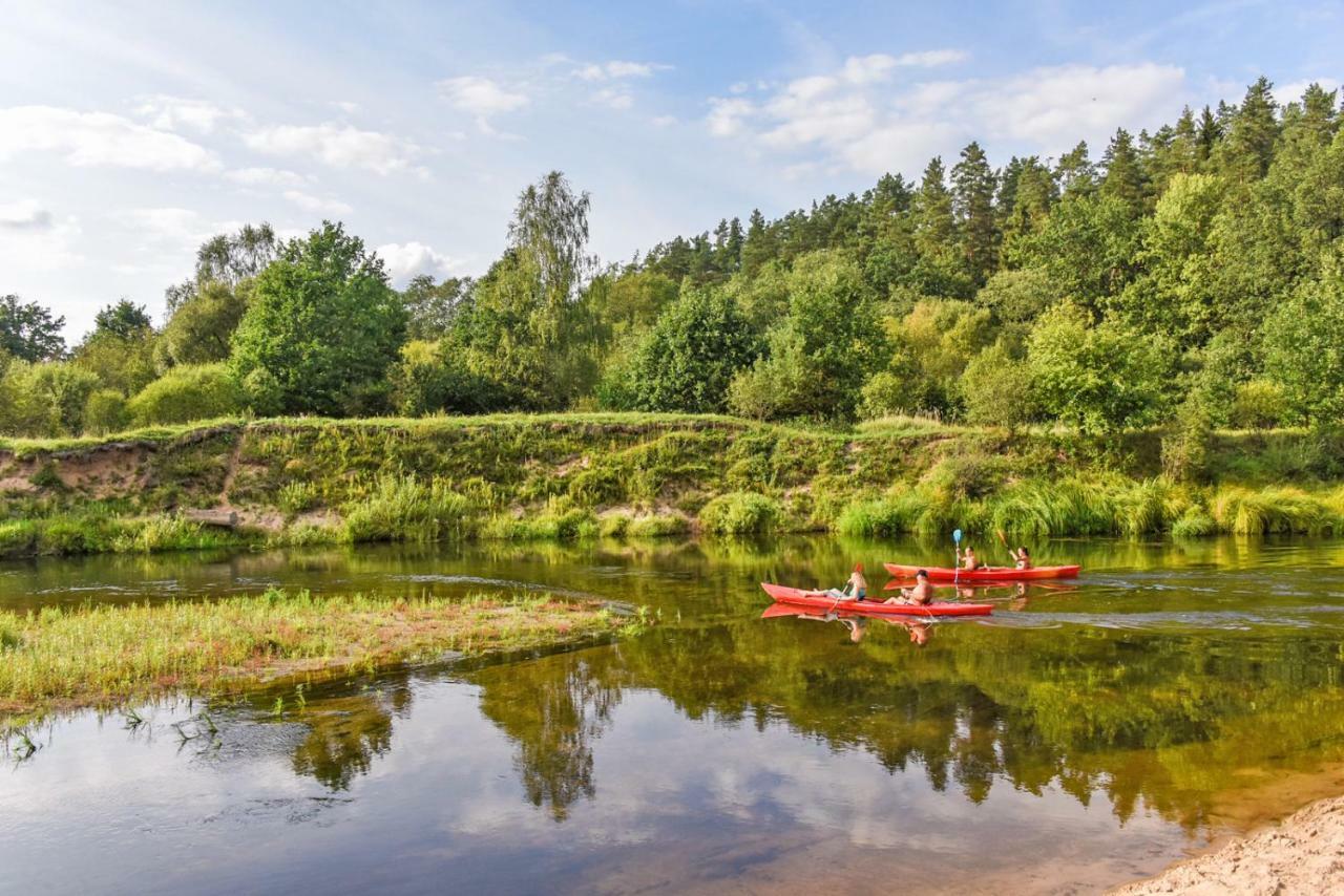 Vip Forest Dreams Villa Anykščiai Exteriér fotografie