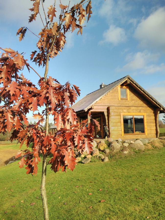 Vip Forest Dreams Villa Anykščiai Exteriér fotografie