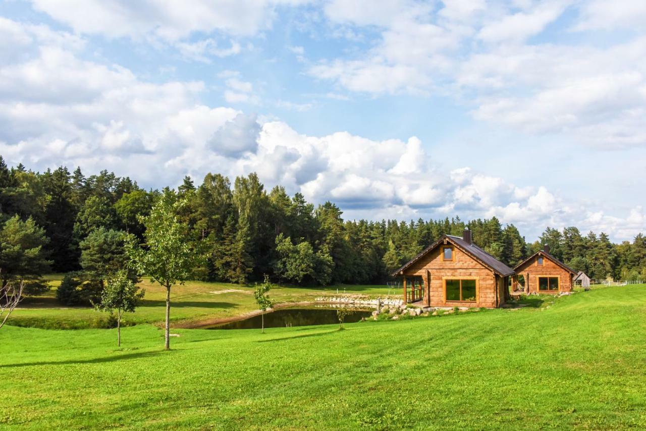 Vip Forest Dreams Villa Anykščiai Exteriér fotografie