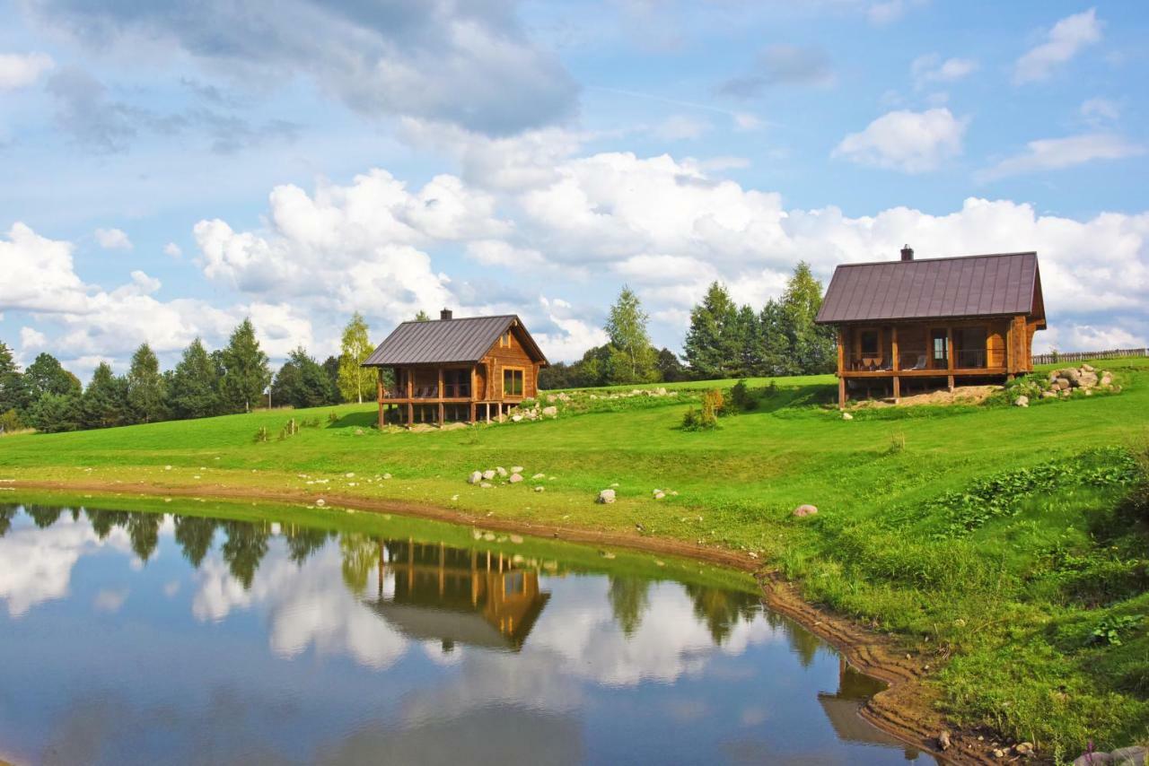 Vip Forest Dreams Villa Anykščiai Exteriér fotografie