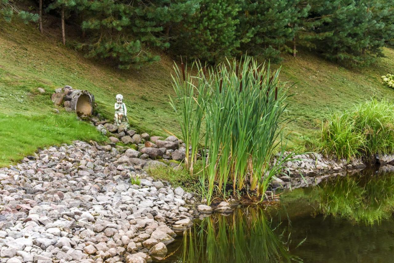 Vip Forest Dreams Villa Anykščiai Exteriér fotografie