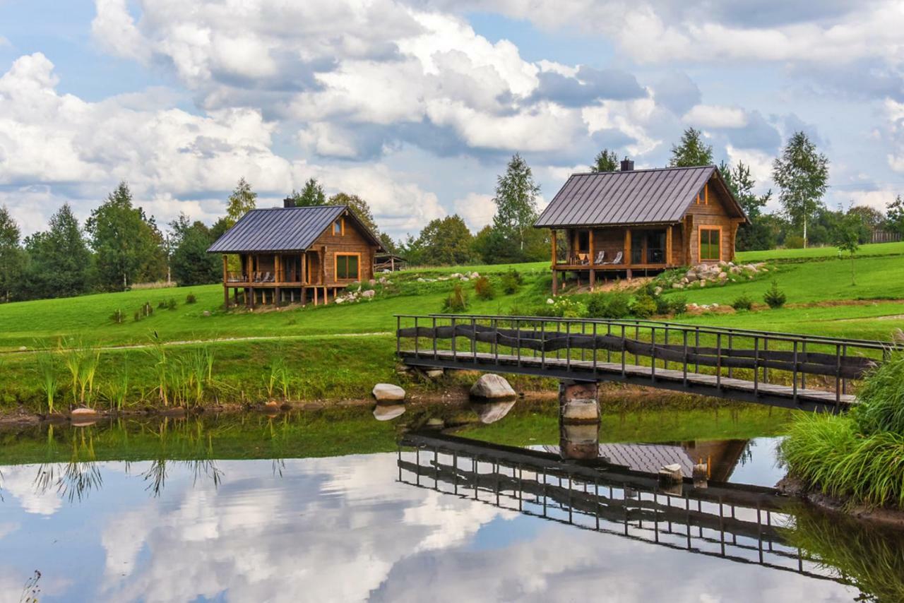 Vip Forest Dreams Villa Anykščiai Exteriér fotografie